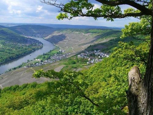 a view of a river and a town on a hill at Penthouse Mosel Hunter in Gornhausen