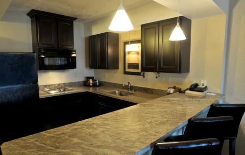 a kitchen with brown cabinets and a granite counter top at Holiday Inn and Suites Charleston West, an IHG Hotel in Charleston