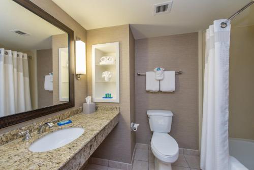 a bathroom with a toilet and a sink and a mirror at Holiday Inn Express Hotel & Suites Auburn by IHG in Auburn