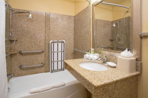 a bathroom with a sink and a shower and a tub at Holiday Inn Express & Suites Denver North - Thornton, an IHG Hotel in Thornton
