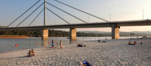 un grupo de personas en una playa cerca de un puente en Apartmani Krtolica, en Novi Sad