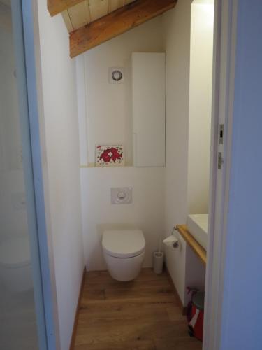 a small bathroom with a toilet and a sink at Chalet Safran in Grächen