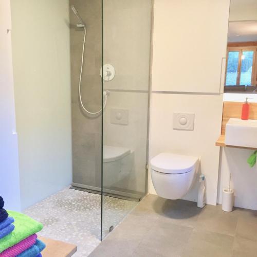 a bathroom with a shower and a toilet at Chalet Safran in Grächen