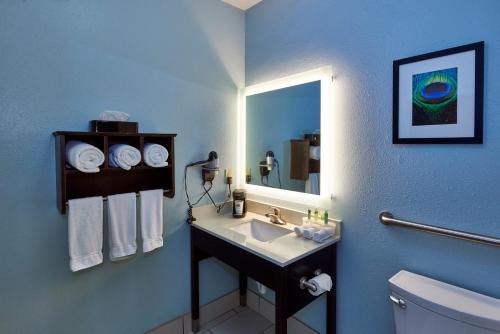 Ванная комната в Holiday Inn Express & Suites Birmingham South - Pelham, an IHG Hotel