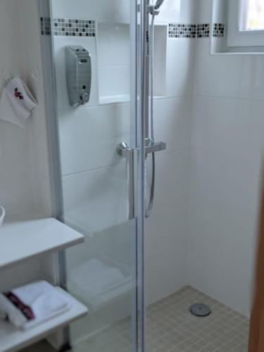 a shower with a glass door in a bathroom at Asiatisches Landhaus in Braunsbedra