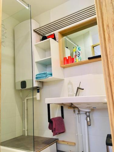 une salle de bain avec un lavabo et un miroir dans l'établissement Bulles Champagne Troyes Bouchon, à Troyes
