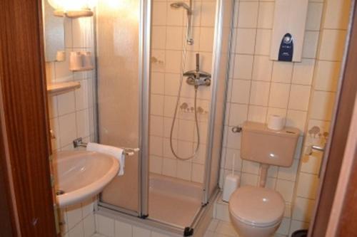 La salle de bains est pourvue d'une douche, de toilettes et d'un lavabo. dans l'établissement Ferienwohnung im Rugstieg, à Wyk auf Föhr