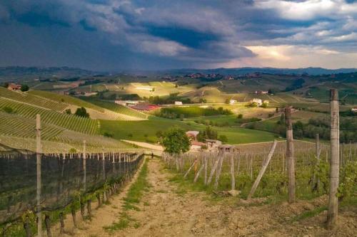 a view of a vineyard in the hills at Ex Ostu Impero: vino, tartufo ed ospitalità in La Morra