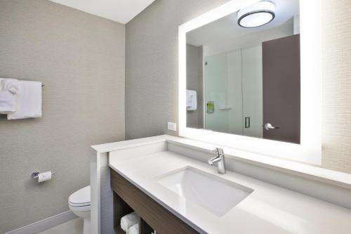 a bathroom with a sink and a mirror at Holiday Inn Express & Suites Okemos - University Area by IHG in Okemos