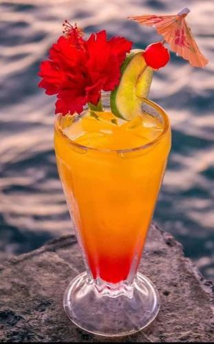 a drink with a red flower in a glass at Lands End in West End