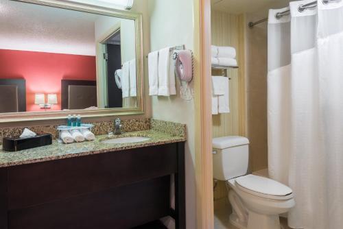 Kúpeľňa v ubytovaní Holiday Inn Express Hotel & Suites Kendall East-Miami, an IHG Hotel