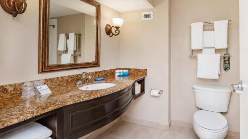 La salle de bains est pourvue d'un lavabo, de toilettes et d'un miroir. dans l'établissement Holiday Inn Express & Suites Miami Kendall, an IHG Hotel, à Kendall
