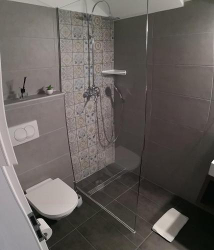 a bathroom with a shower with a toilet and a sink at Varga Villa in Orfű