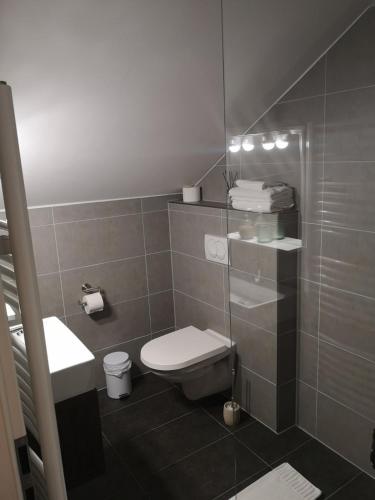 a bathroom with a toilet and a sink at Varga Villa in Orfű