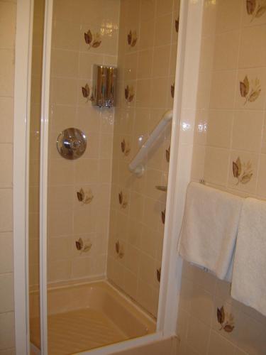a bathroom with a shower with a glass door at Springlawn in Clarinbridge