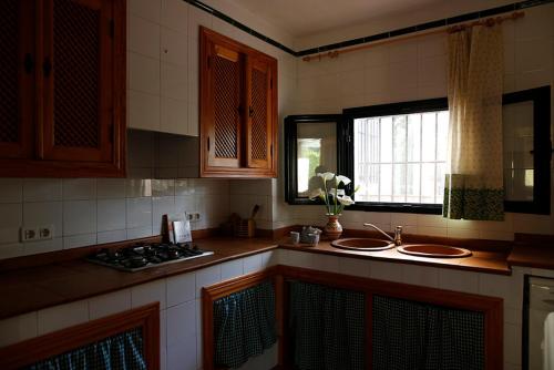 a kitchen with a sink and a counter top at Alojamientos Cabezo del Gato in Aracena