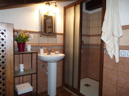 uma casa de banho com um lavatório e um chuveiro em Huerto Los Castaños em Los Marines