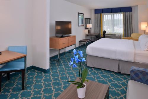 a hotel room with a bed and a desk and a tv at Holiday Inn Express and Suites West Ocean City by IHG in Ocean City