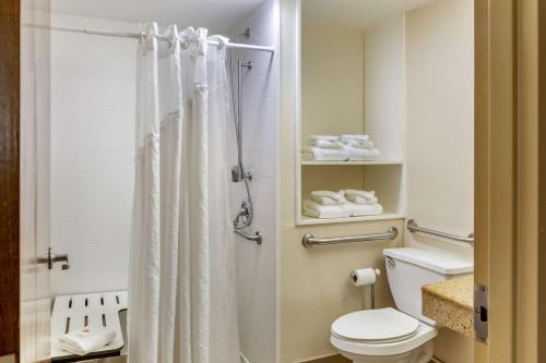 a bathroom with a toilet and a shower at Comfort Inn Lancaster at Rockvale in Lancaster