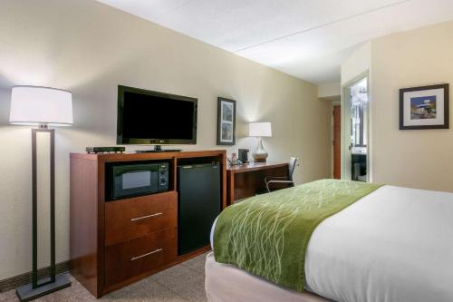 Gallery image of Comfort Inn Downtown in Chattanooga