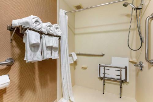 a bathroom with a shower and a toilet and towels at Comfort Inn Chattanooga Downtown Southside in Chattanooga