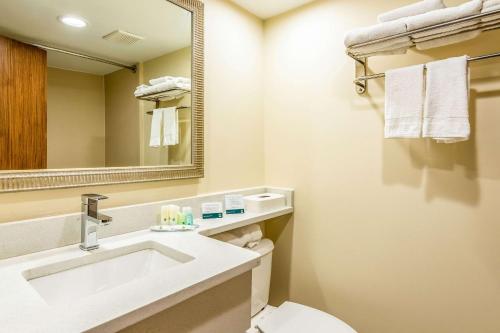 een badkamer met een wastafel, een toilet en een spiegel bij Quality Inn Central in Richmond