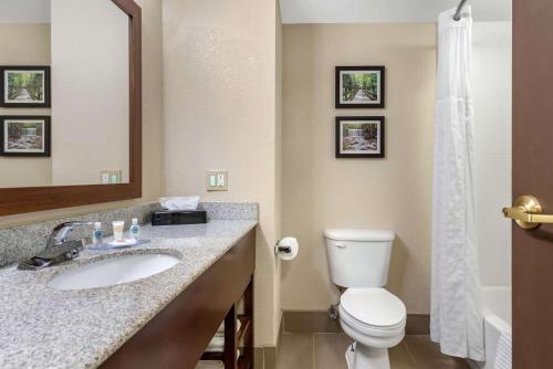 a bathroom with a sink and a toilet and a mirror at Comfort Inn & Suites Columbus East in Heath