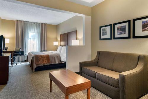 Gallery image of Comfort Inn and Suites in Suwanee