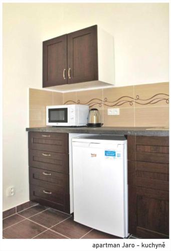 a kitchen with a white refrigerator and a microwave at Apartmán U Kostela in Veselí nad Moravou