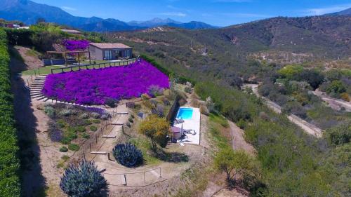 an aerial view of a house with purple flowers at Villas Toscanas in Limache