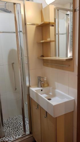une salle de bain avec un lavabo et une douche dans l'établissement Studio Saint-Placide, à Paris