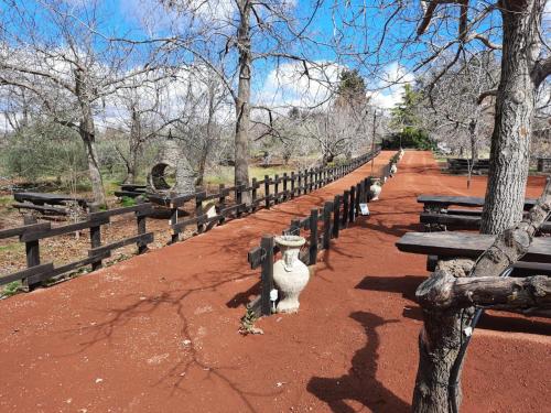 a row of wooden benches in a park at Casa etna in Bronte