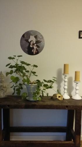 a table with a potted plant on top of it at AROHA in Glastonbury