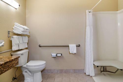 Ванная комната в Comfort Inn and Suites