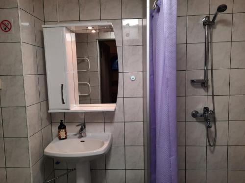 a bathroom with a sink and a mirror and a shower at Sunrise majutus in Pärnu