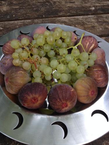 un bol de raisins et de figues sur une plaque dans l'établissement Le Refuge aux étoiles, à Saint-Antonin
