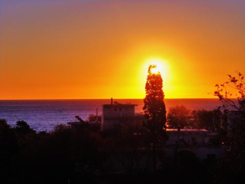 a sunset over the ocean with a tree in the foreground at Blugreen Stegna Suites and Apartments in Archangelos