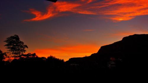 a sunset with a tree in the foreground at Blugreen Stegna Suites and Apartments in Archangelos
