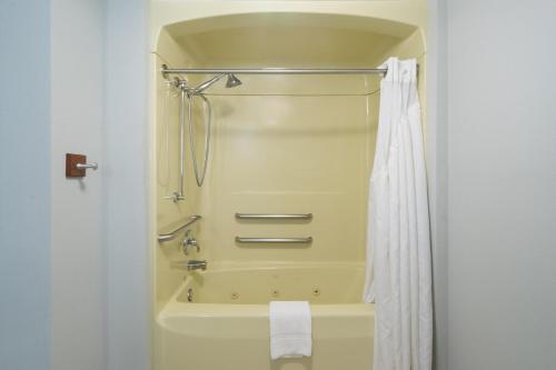 a bathroom with a tub and a shower with a shower curtain at Holiday Inn Express Hotel & Suites Easton by IHG in Easton