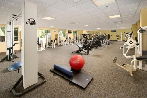 a gym with cardio equipment and a red ball on the floor at Holiday Inn Express & Suites Charlottesville - Ruckersville by IHG in Ruckersville