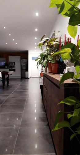 une salle avec un comptoir recouvert de plantes en pot dans l'établissement La maison écolo de Nono, à Dhuizon