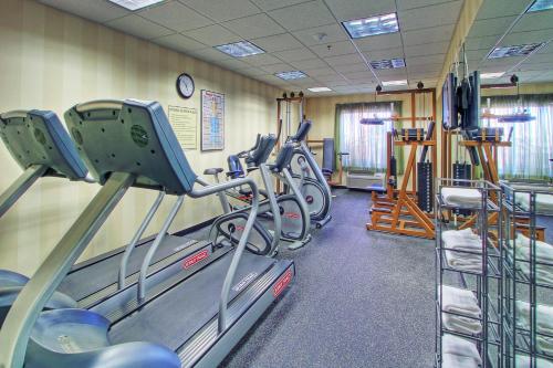 a gym with rows of treadmills and machines at Holiday Inn Express Hotel & Suites Las Cruces by IHG in Las Cruces