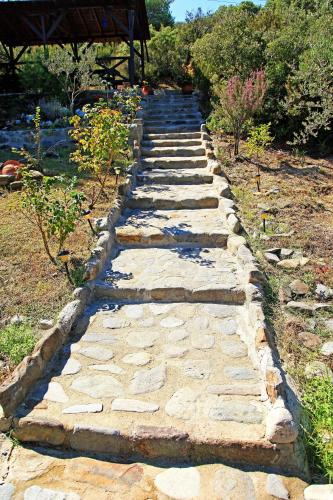 a stone path in a garden with bushes and trees at Dionysus Apartments & Suites in Ierissos