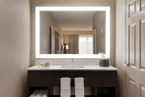 a bathroom with a sink and a mirror at Holiday Inn Hotel & Suites Council Bluffs, an IHG Hotel in Council Bluffs