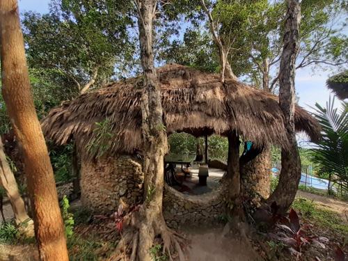 a small hut with a tree in the woods at Sanctuaria Treehouses Busuanga in Busuanga