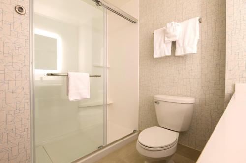 a bathroom with a toilet and a glass shower at Holiday Inn Express & Suites Port Huron, an IHG Hotel in Port Huron