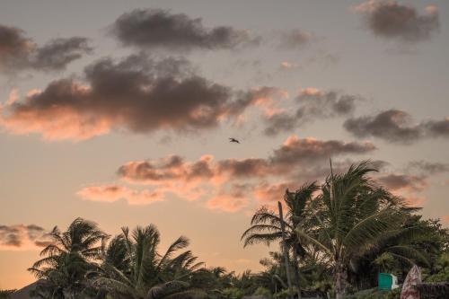 a bird flying in a cloudy sky with palm trees at Playa Esperanza Tulum in Tulum