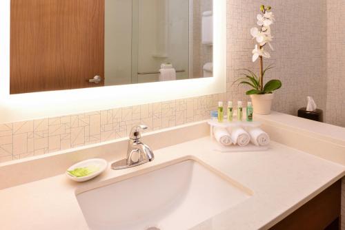 a bathroom with a sink and a mirror at Holiday Inn Express & Suites Salem by IHG in Salem