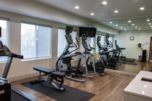 un gimnasio con varias cintas de correr y máquinas elípticas en Holiday Inn Express Hotel & Suites Roseville - Galleria Area, an IHG Hotel, en Roseville