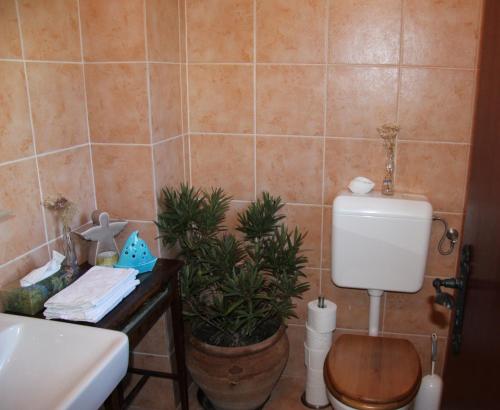 a bathroom with a toilet and a sink at Kellerstöckl Eisenberg/Pinka Weiner in Eisenberg an der Pinka